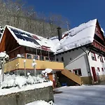 Daire Sonnenblick *