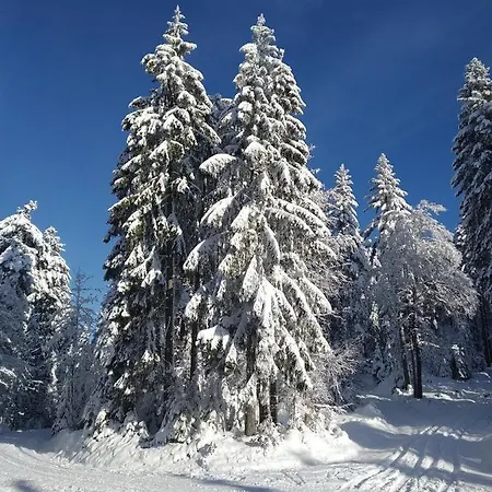 شقة Sonnenblick *