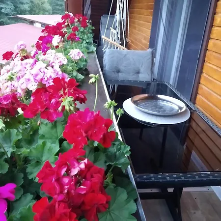Apartamento Sonnenblick *