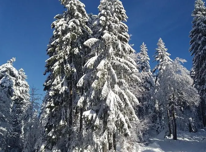 Appartamento Sonnenblick *